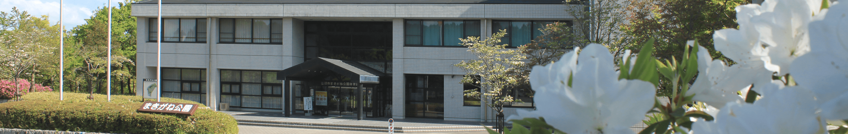 メインビジュアル画像